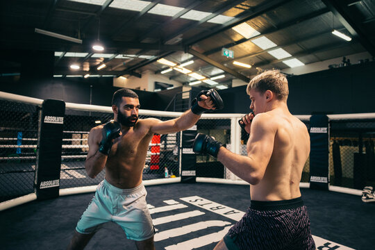 Two male fighters training in a mixed martial arts cage
