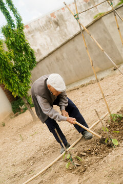 An old man works carefully in his garden in the daylight.