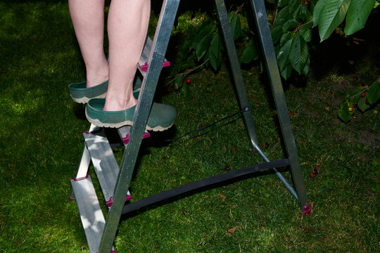 Garden Ladder Scene