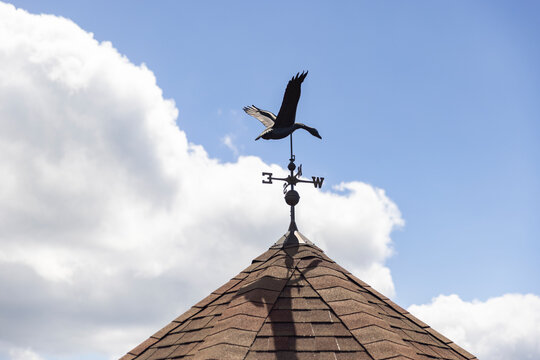 Goose Brass Weathervane on home 