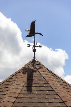 Goose Brass Weathervane on house 