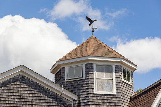 Goose Brass Weathervane on house tower