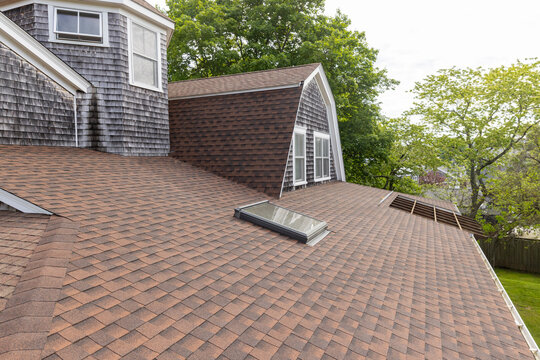 Roof of Home with view to backyard 