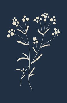 White herbs
