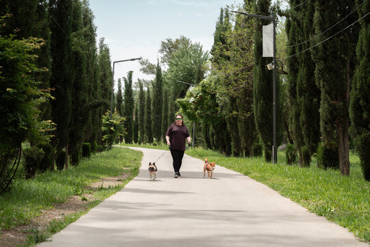 Walking Two Dogs