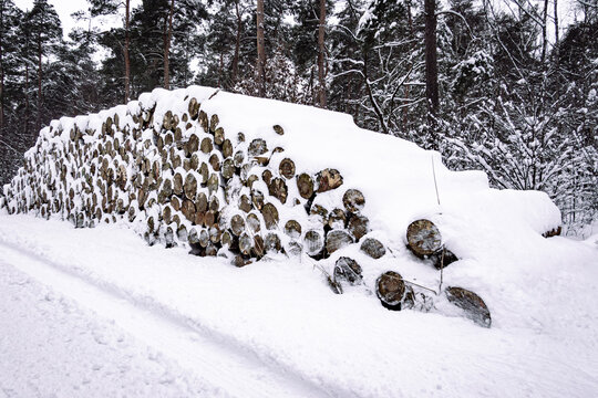 Forstwirtschaft - schneebedeckter Stapel Industrieholz am winterlichen Waldrand, Symbolfoto.