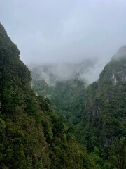 Fototapeta premium Nebel und Wolken im Regenwald