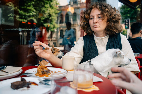 Woman Dining Outdoors With Dogs in a Bustling Caf&eacute; Setting