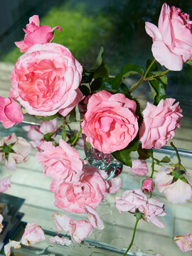 Roses on the Sideboard - Between Bloom and Decay