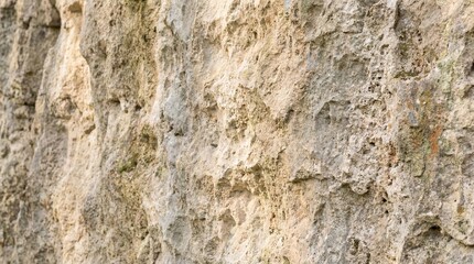 Obraz premium Close-up of a rugged rock face showing intricate textures crevices and light-colored natural stone