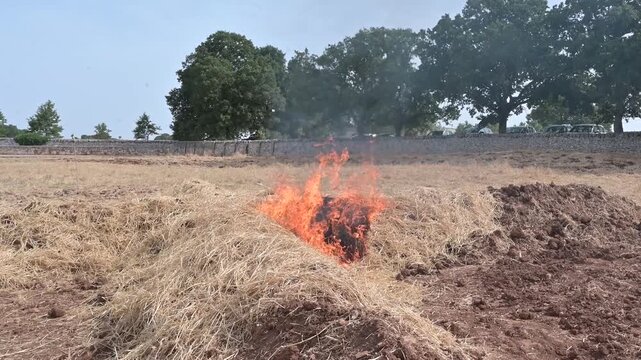 incendio in una campagna con erba in fuoco