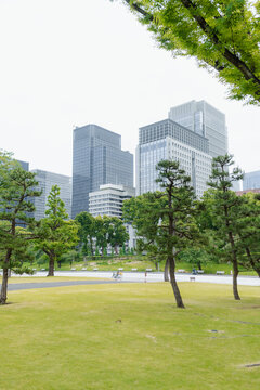 City Park