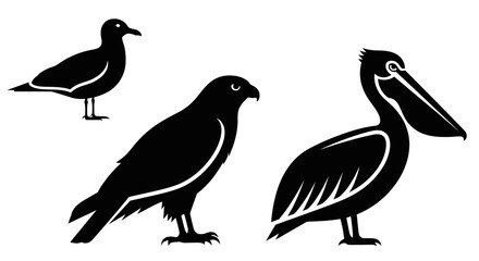 Fototapeta premium Bird Silhouettes Set: Seagull, Hawk, and Pelican in Black Graphic Style