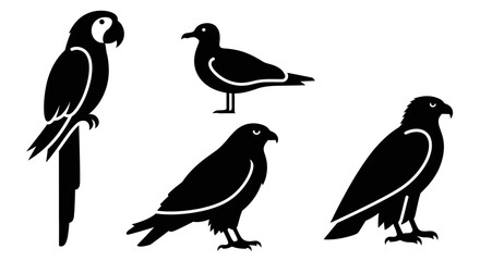 Obraz premium Collection of diverse bird silhouettes: parrot, seagull, and raptors, vector illustration