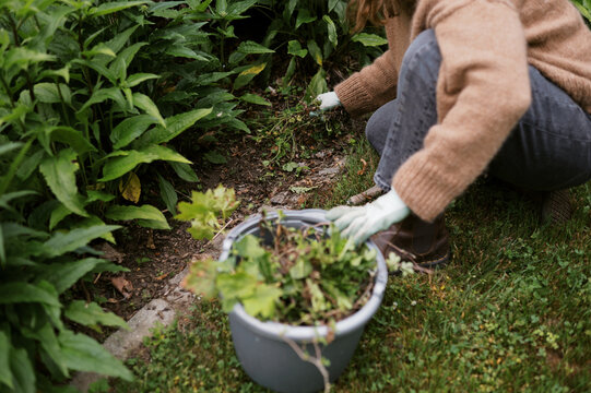 woman gardening in her front yard 