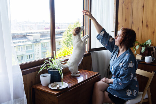 A Woman Training Her Dog At Home
