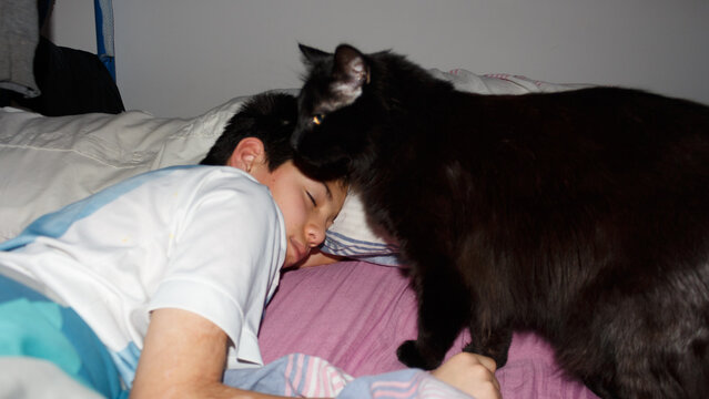 UGC Boy Sleeping Peacefully With a Cat Beside Him in a Cozy Bedroom