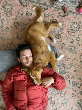Portrait of a puppy resting on his owner's shoulder