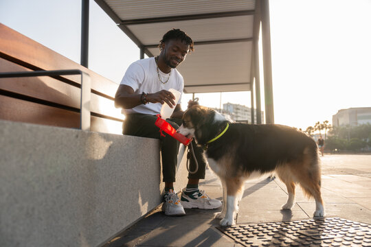 Hydrating a dog at the park during golden hour