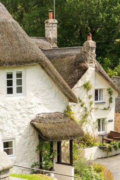 UK, England, Devonshire, Lustleigh.  Picturesque cottages with thatched roofs.  
