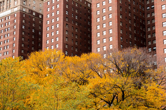 USA, IL, Chicago.  Architectural detail of the Hilton Chicago hotel, viewed from Grant Park in the autumn..  Opened on May 2, 1927, as the Stevens Hotel . Beaux-Arts architecture style. 