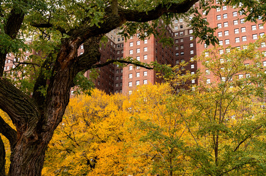 USA, IL, Chicago.  Architectural detail of the Hilton Chicago hotel, viewed from Grant Park in the autumn..  Opened on May 2, 1927, as the Stevens Hotel . Beaux-Arts architecture style. 