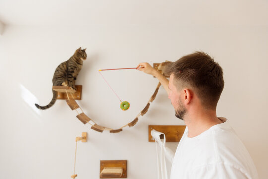 A young man is playing with a cat.
