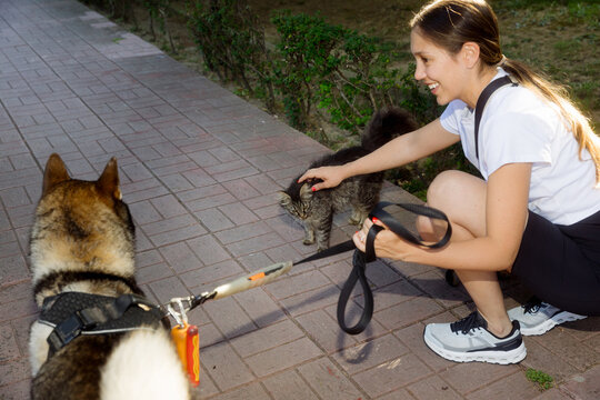 A young woman sits in a park with her Japanese wolf dog (Shikoku).