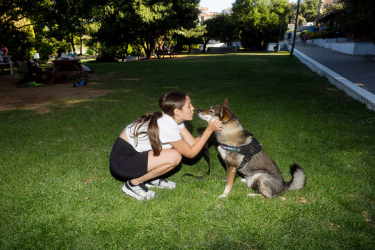 A young woman sits in a park with her Japanese wolf dog (Shikoku).