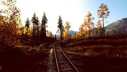 Obraz premium Early morning sunlight highlights broad landscape and tranquil atmosphere, Golden dawn gently lights up train tracks as expansive meadows stretch into horizon