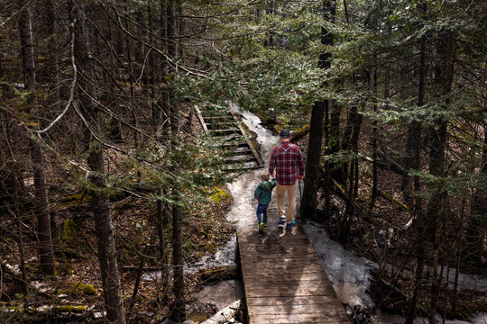Walk with Son in Spring