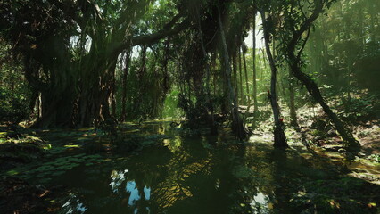 Obraz premium golden hour marsh with hanging roots and deep shadows, filtered light creates dramatic silhouettes, still water mirror, tangled vines and dense foliage evoking
