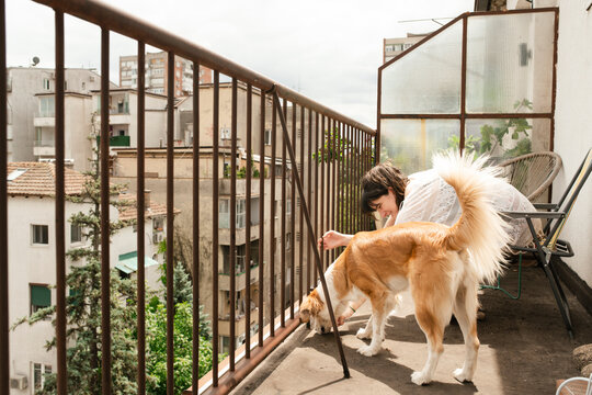 Relaxing on the Balcony with a Beloved Dog