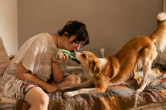 Playful Tug-of-War with Beloved Pet