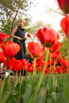 Standing Amongst the Red Giants
