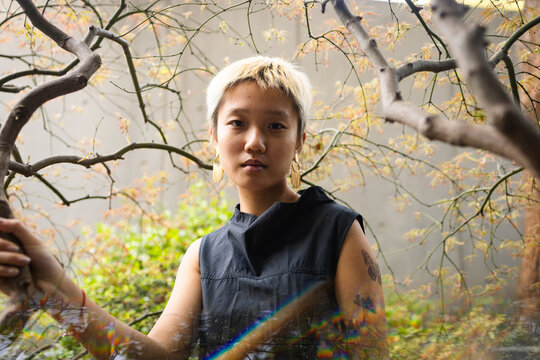 Looking Through Tree Branches