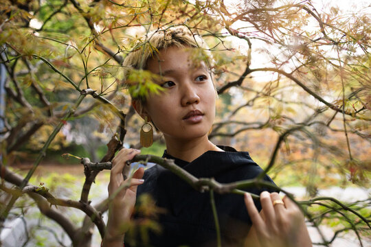 Autumn Leaves in Foreground