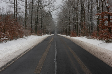 Asfaltowa droga w zimowy dzień. Jezdnia jest czarna, po obu stronach jest wysoki las. Ziemia i gałęzie drzew pokrywa warstwa śniegu. © boguslavus