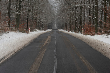 Asfaltowa droga w zimowy dzień. Jezdnia jest czarna, po obu stronach jest wysoki las. Ziemia i gałęzie drzew pokrywa warstwa śniegu. © boguslavus