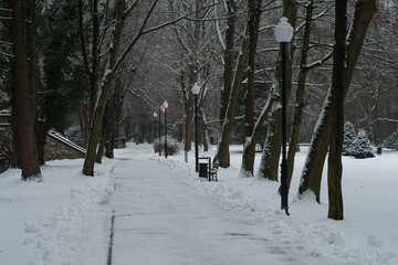Park w zimowy dzień. Ziemia, alejki, drzewa i ławki pokryte są warstwą śniegu. © boguslavus