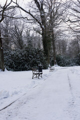 Park w zimowy dzień. Ziemia, alejki, drzewa i ławki pokryte są warstwą śniegu. © boguslavus