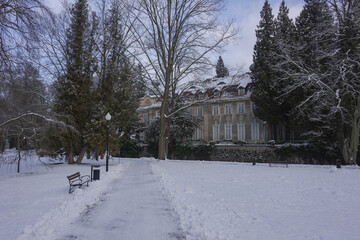 Parkowa alejka zimą. Ziemię i gałęzie drzew pokrywa warstwa śniegu. W oddali widać budynek pałacu książęcego. © boguslavus