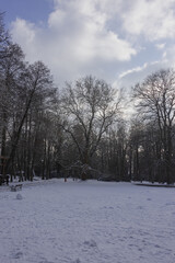 Park w zimowy dzień. Ziemia, alejki, drzewa i ławki pokryte są warstwą śniegu. © boguslavus