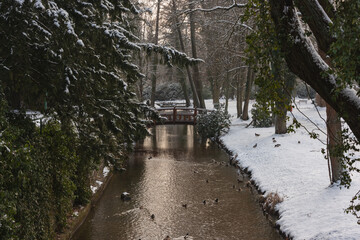 Rzeka Czerna Mała płynąca przez park dworski w mieście Iłowa w Polsce. Nad rzeką widać mosty i kładki dla pieszych. Jest zima, ziemię pokrywa śnieg. © boguslavus