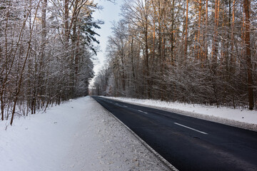 Asfaltowa droga w zimowy dzień. Jezdnia jest czarna, po obu stronach jest wysoki las. Ziemia i gałęzie drzew pokrywa warstwa śniegu. © boguslavus