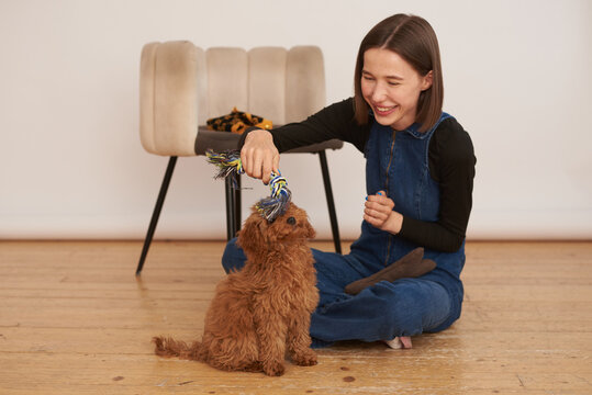 Young woman enjoys playtime with her adorable fluffy dog