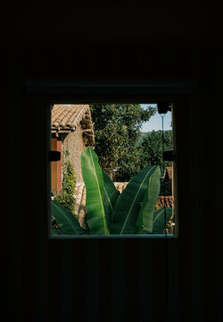 Window View of Lush Garden and Tiled Roofs