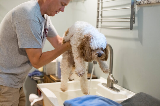 Time for a doggie bath.  