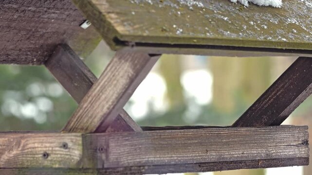 Eurasian nuthatch perched on a rustic wooden bird feeder in a soft-focused garden setting, showing profile detail, muted winter tones and natural wildlife behavior