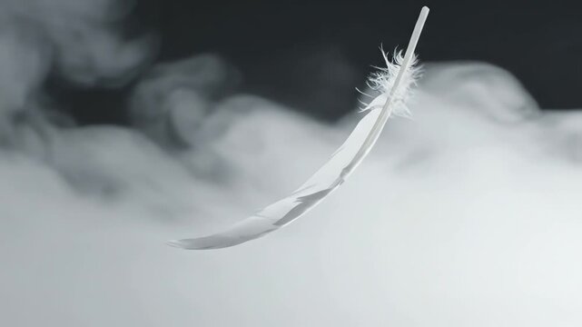 A single white bird feather drifting gently through a mysterious fog, symbolizing lightness and freedom concept with an ethereal atmosphere.